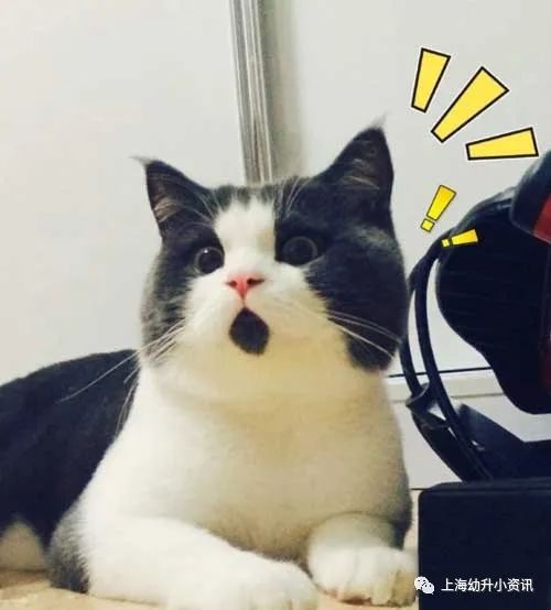 重磅！上海这区又新建一所一贯制！新增2280个学位，还背靠名校