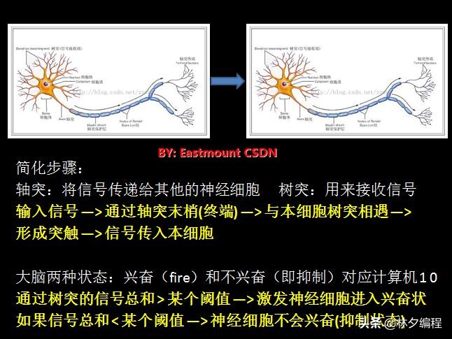 「Python人工智能」 一.神经网络入门及theano基础代码讲解