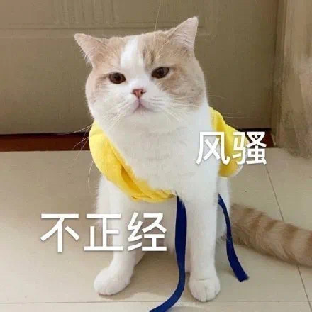 表情包：别睡了小肥猪