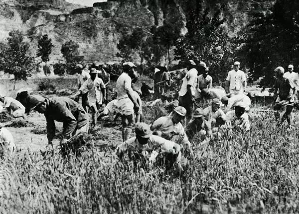 老农种地54年,没钱给女儿治病,给军队领导写信:我是毛主席警卫