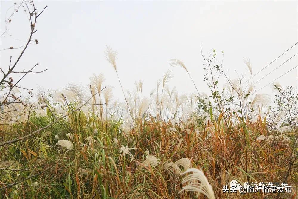 醉美大山空，与初冬的邂逅！