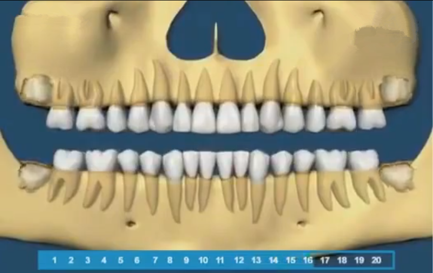 组图带你了解宝宝的牙齿生长顺序，一目了然，爸妈再也不用纠结了