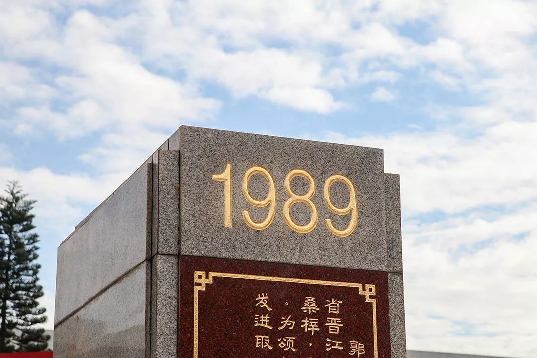 愿你出走半生，归来仍是少年