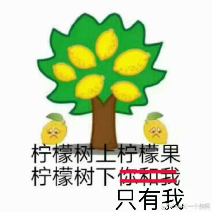 柠檬表情包：柠檬树上柠檬果，柠檬树下只有我