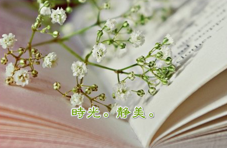 让生命有个翅膀，给活着多一些美丽与辽远