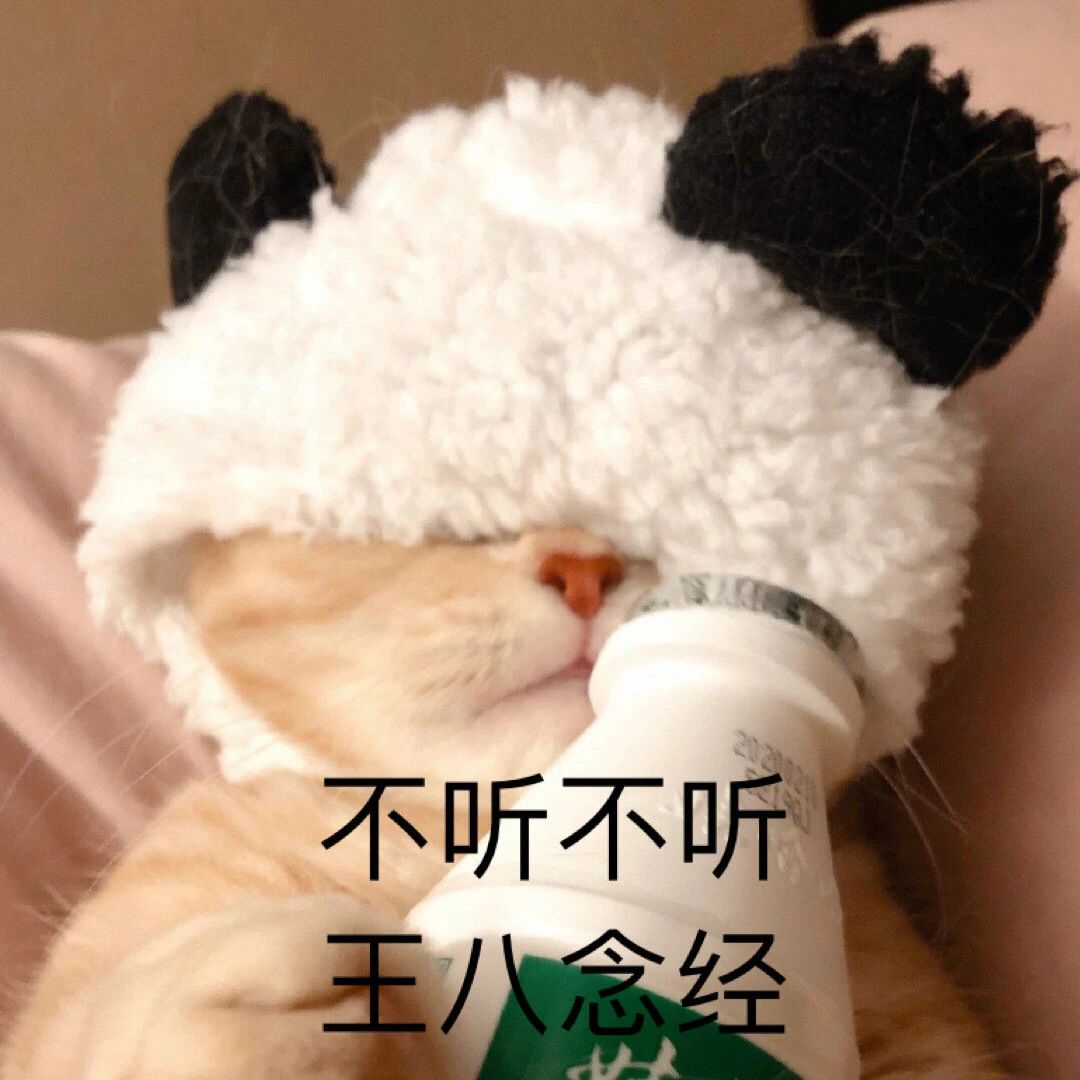 猫咪表情包​  生气专用表情包