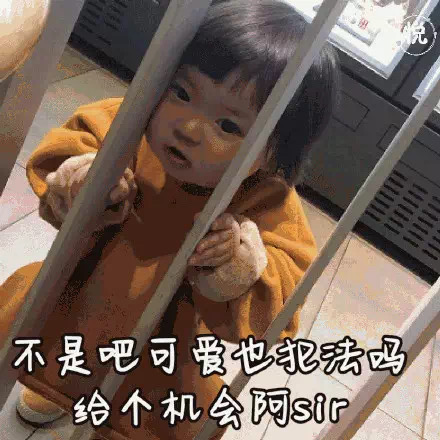 表情包：想要一个红豆沙包，不要豆，不要沙