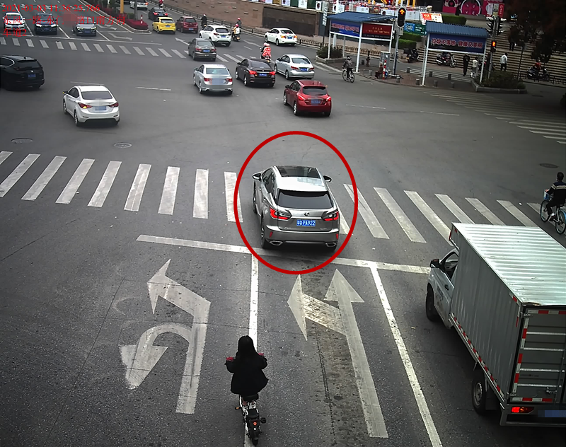 交通违法曝光！