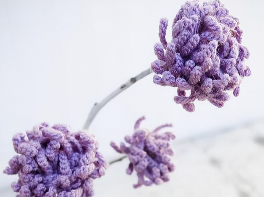 摩羯座带给世人的四个知识点，值得借鉴