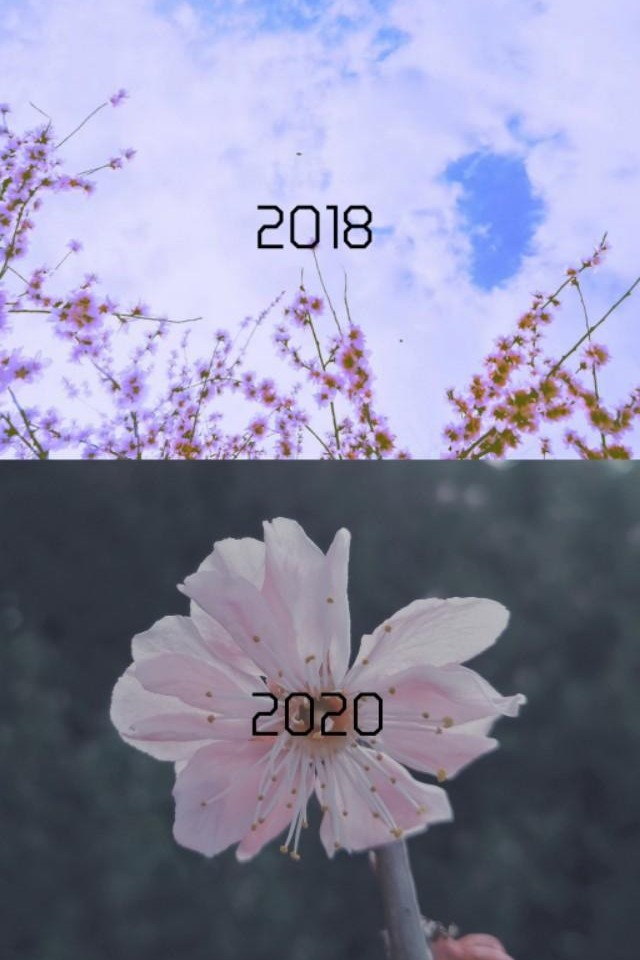 盘点国内五星级摄影网站，||你值得拥有！