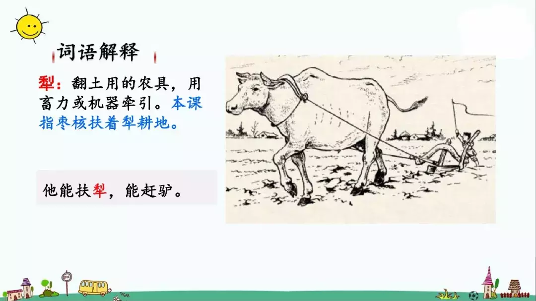 部编版三年级语文下册课文28《枣核》知识点+图文解读