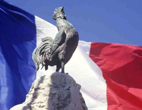 法国国宝高卢鸡图片