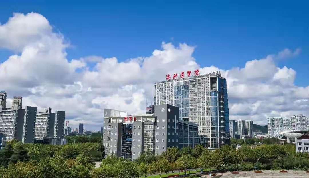 山东一所高校升级为“大学”，计划5年内完成，当地学生有福了