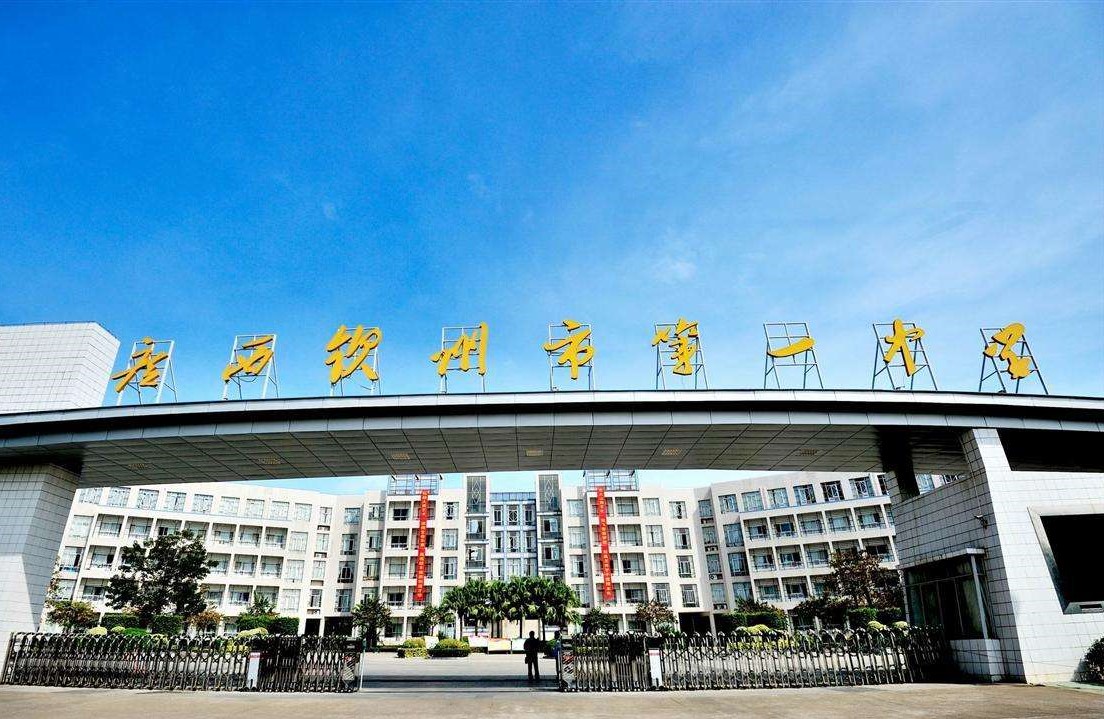 2017钦州二中高考喜报(广西钦州最好的四所高中)