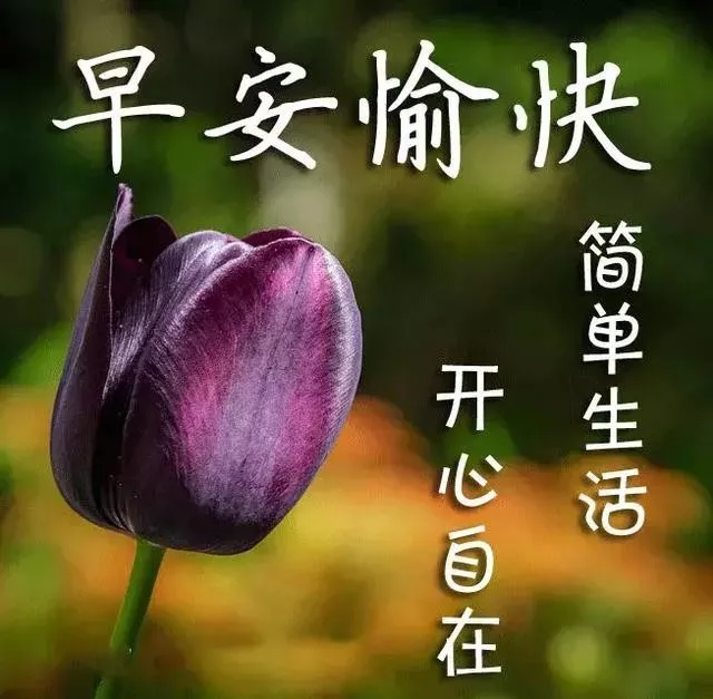 珍爱身边的人和事，珍惜生命中的一切，就是富有、幸福的，早安