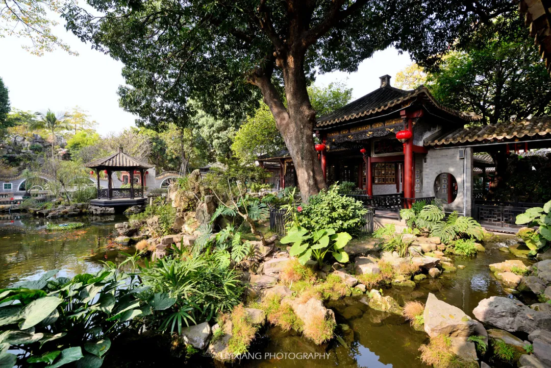 全国唯一一个拥有三个车牌的城市，富豪遍地