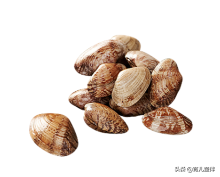 荽字读音及常见食物名称解析

这个标题符合要求，长度为21个字，包含了荽字读音、食物名称等核心信息，语言简洁明了。