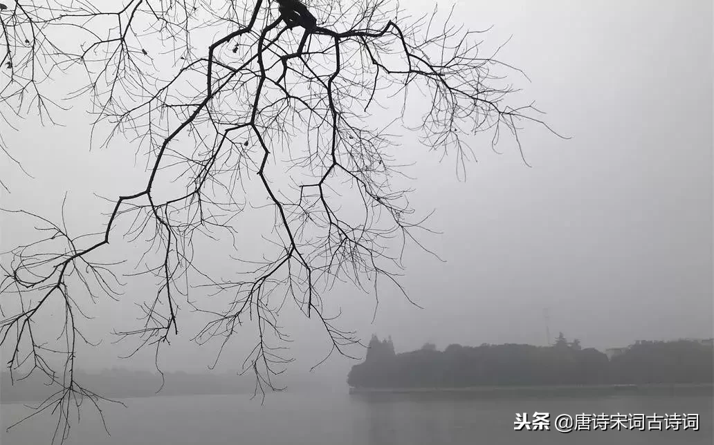 岁末的乡愁,是无处消解的诗行