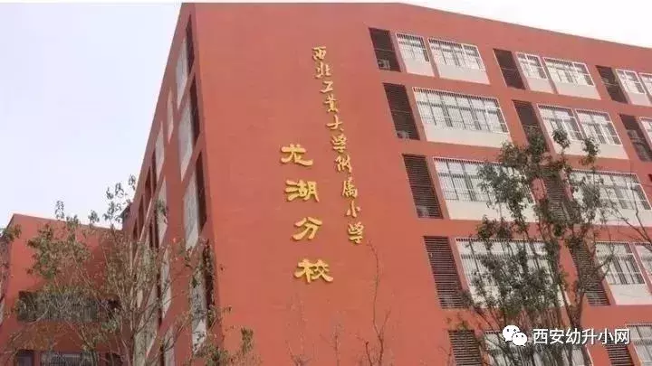 西安锦园小学招聘（西安51所重点小学入学信息全方位解析）