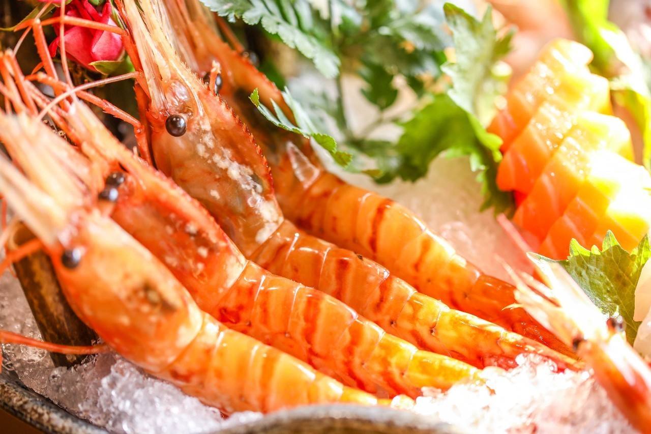 这么多虾都叫“牡丹虾”，那牡丹虾到底是谁？