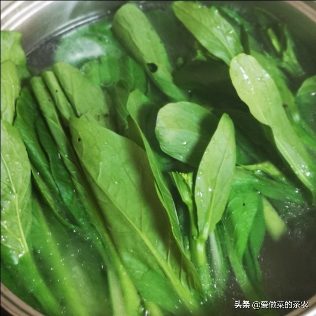 白灼青菜怎么做（掌握好3个小细节白灼青菜更好吃）