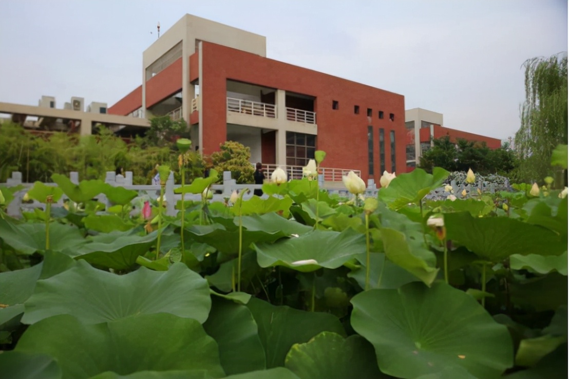 中国计量大学是211吗（江苏一所高校官宣）