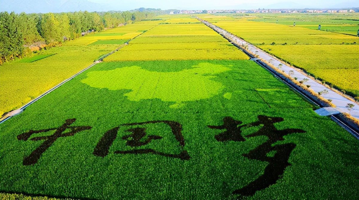 現代農業發展前景,現代農業發展前景分析