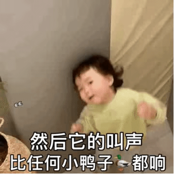 黄夏温套路表情包｜好响抱抱鸭
