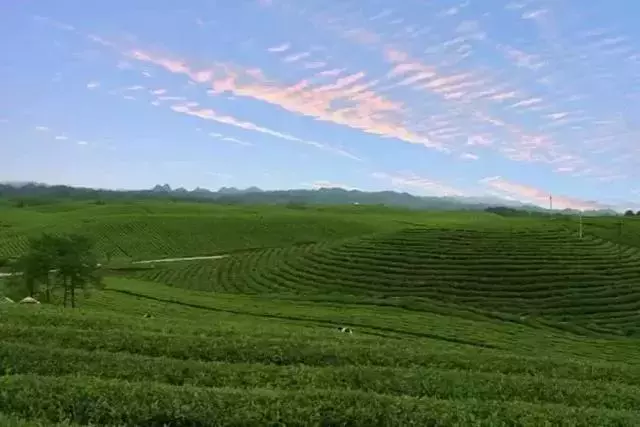 这是贵州村庄？感觉像欧洲童话小镇！春节自驾游就去这里耍！