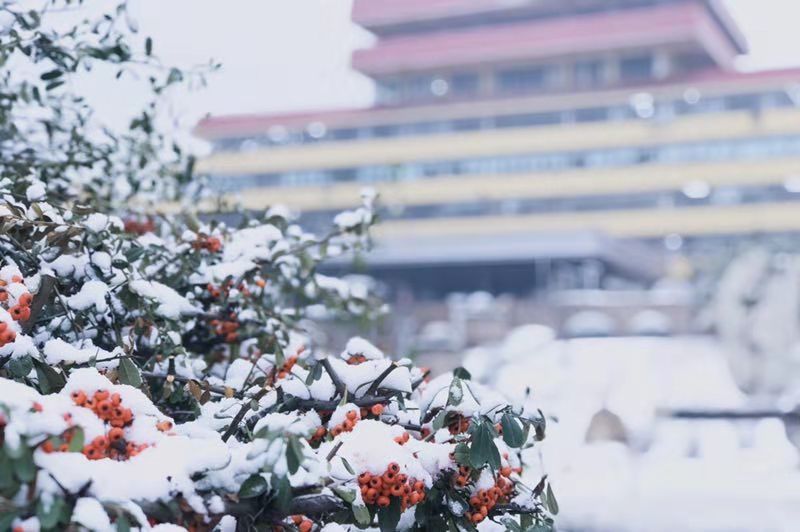 高清曝光！坐拥神仙颜值，山东最美“校花”就在这所大学里！