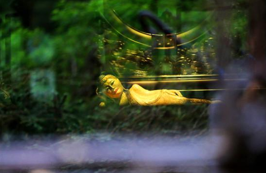 南北东西总是禅，十二首有关禅心的诗词，看古诗词里的禅意