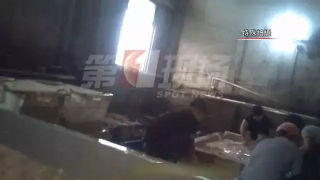 吃饭时勿点!用脚踩、用生石灰泡,这些老牌火锅店的牛肚清洗方法曝光
