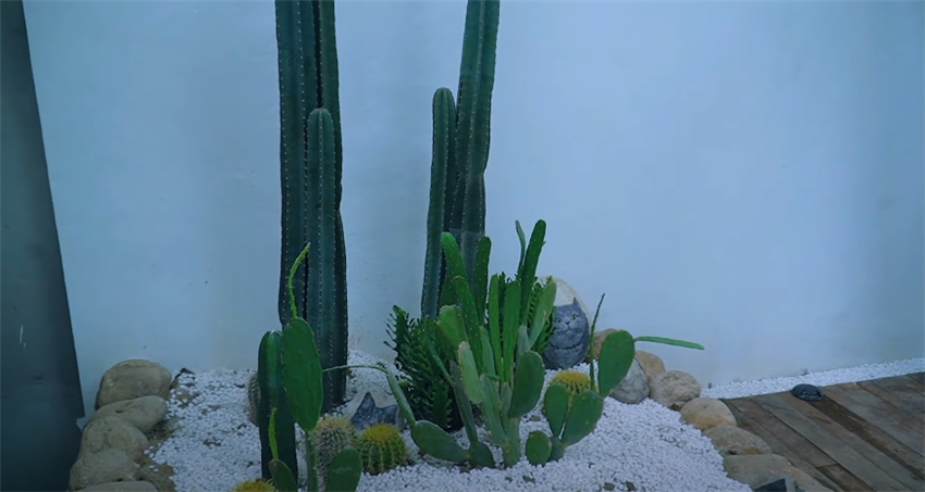 小伙花20天徒手打造露天浴室，晚上躺浴缸泡澡真爽！就是别下雨