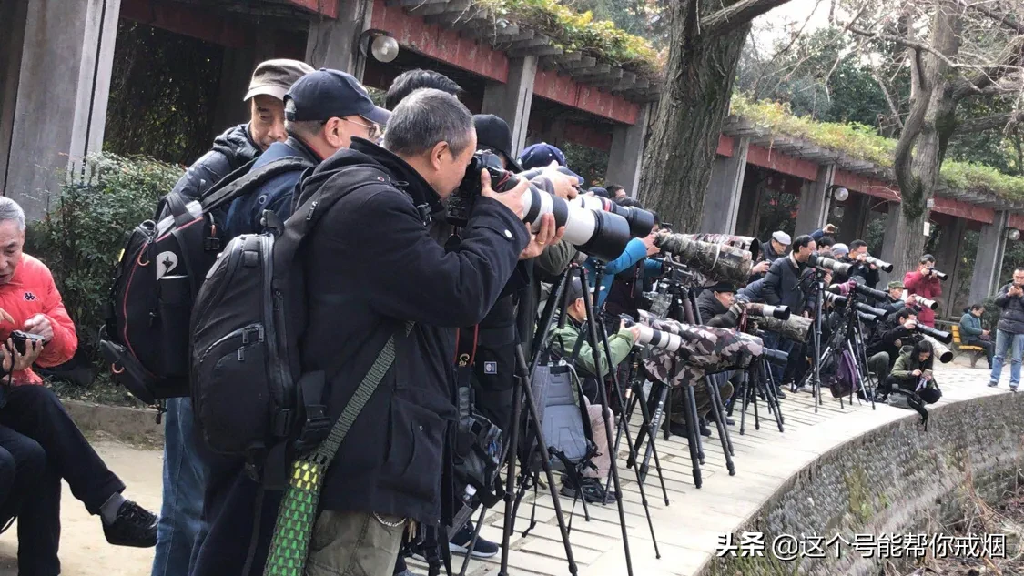 心如荷花天地宽，人生一笑岁月长；医海无涯必励钻，博采勤收受益