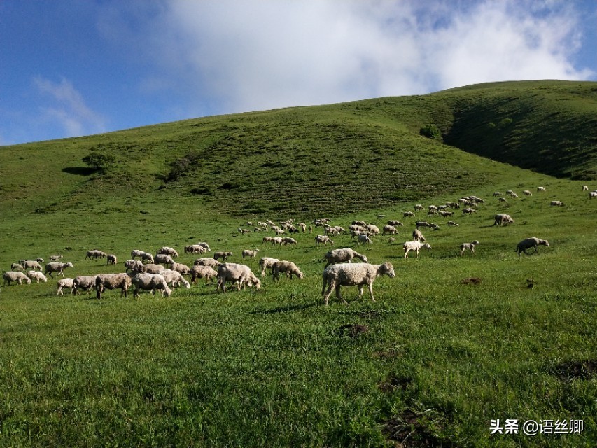 纤尘散尽，心归处——初遇乌兰布统草原