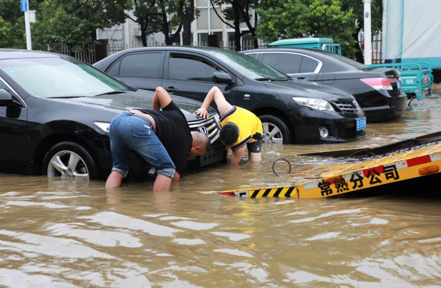 ​河南洪水过后100天，大批二手车贩子涌入，5万一辆的奥迪能买吗？