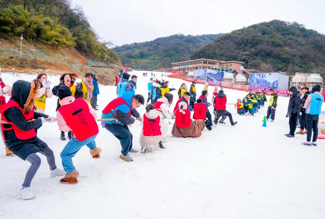 冬雪落下的刹那，金佛山美成了童话！