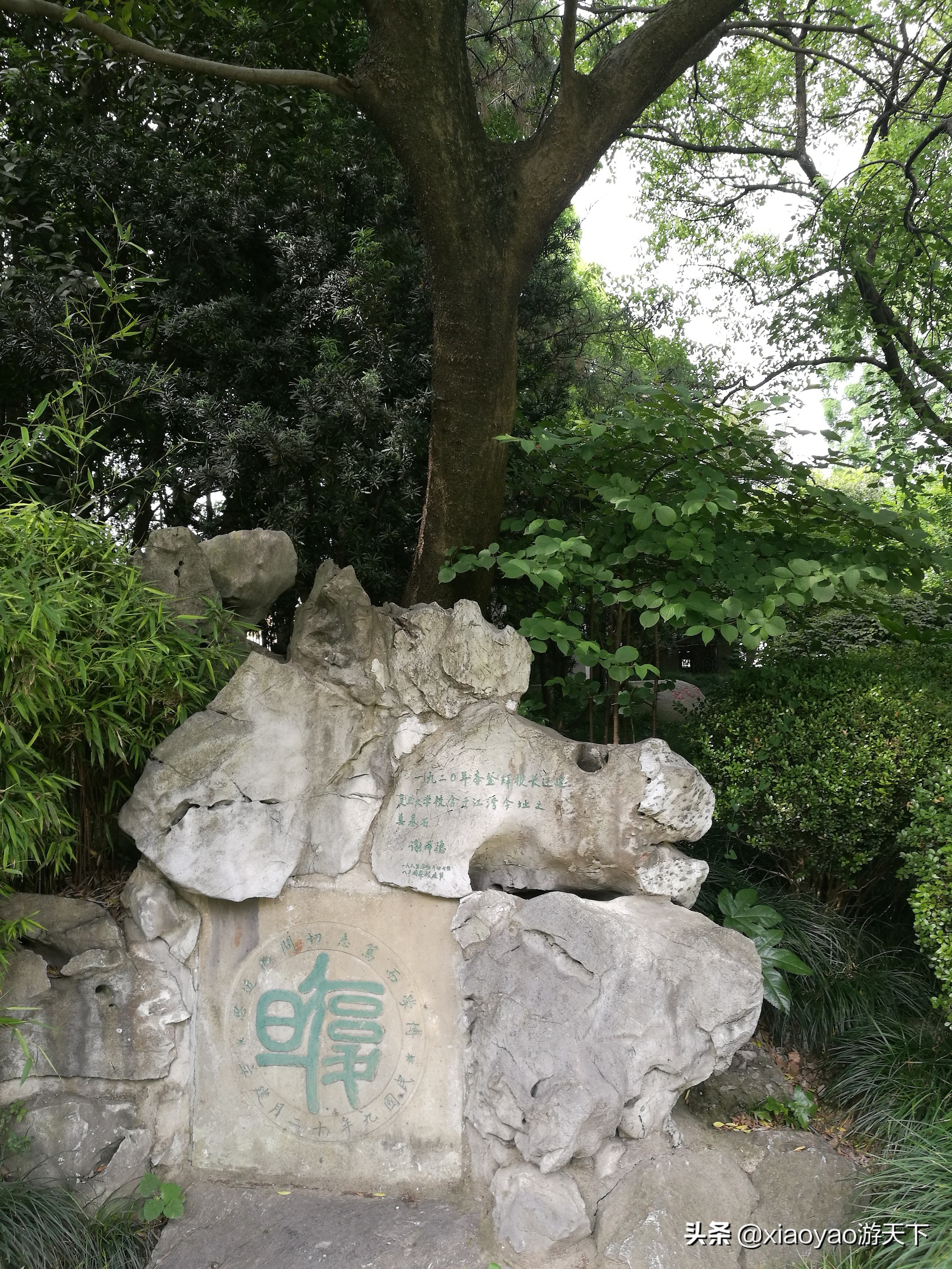 最美大学之旅——复旦大学