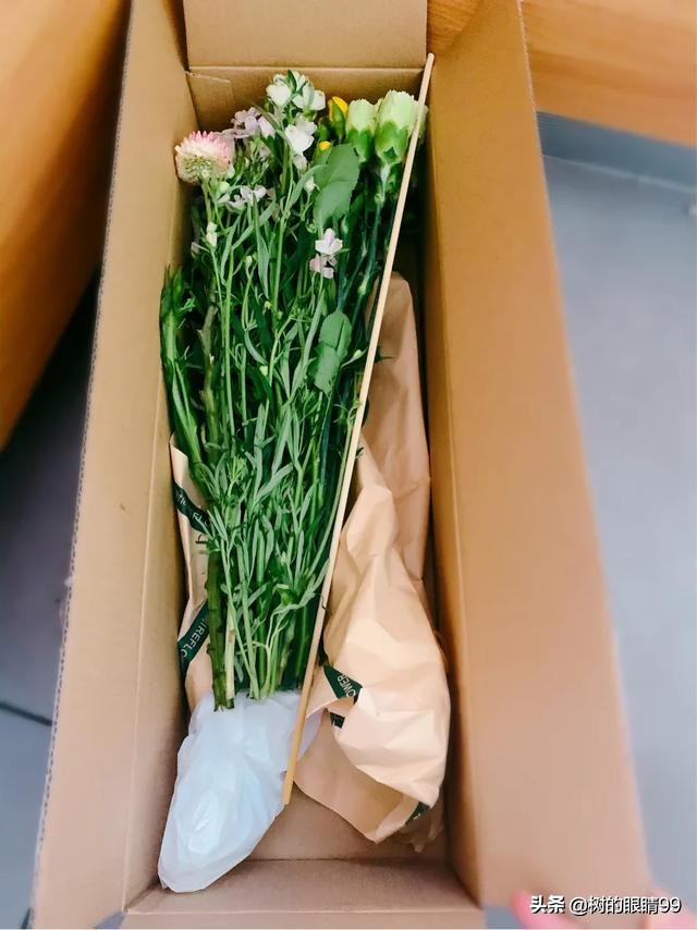 瓶里有鲜花，篮里有面包，而我忽而赛神仙忽而绝望主妇