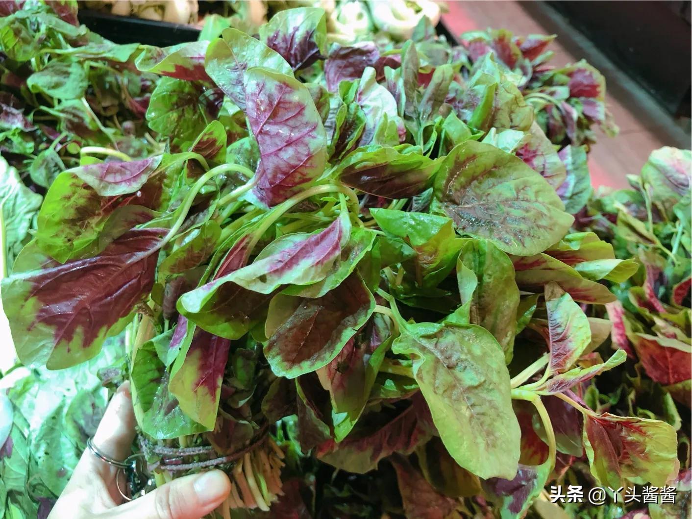清明节前后,这种蔬菜别错过,富含天然叶酸,孕妇小孩要多吃