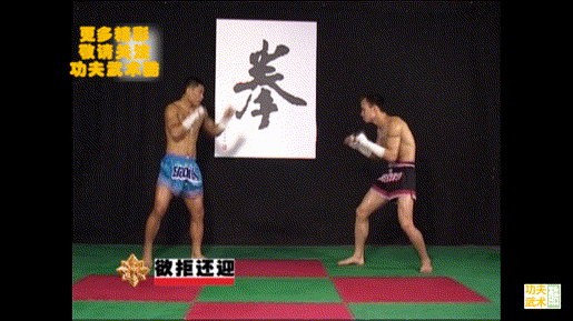 动画教学17招古泰拳必杀技，招招凶狠，练熟了就是你的自卫绝招