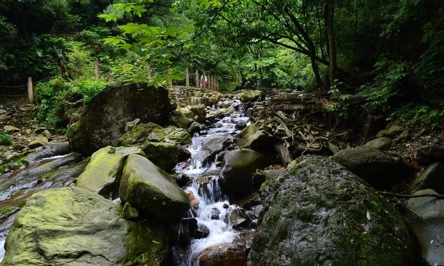 游山玩水好风光！四川适合全家出动的3日游攻略，去几次都不腻