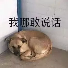 滚就滚，再见就再见