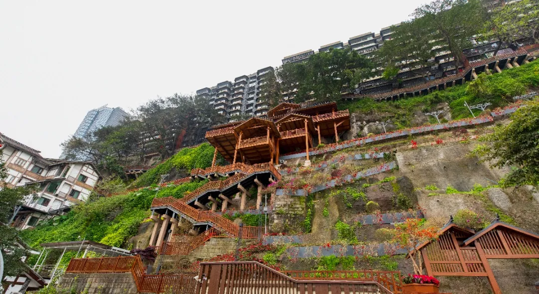 清明节去哪玩？重庆这些地方值得去踏青