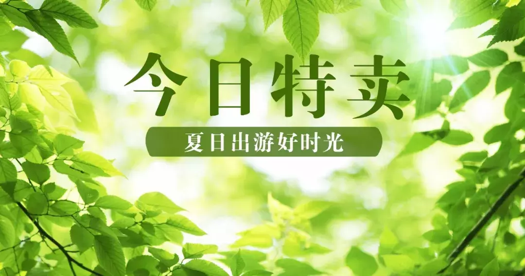 今日特卖丨毕业季,4人起小包团玩清迈1980起,迪拜4999起