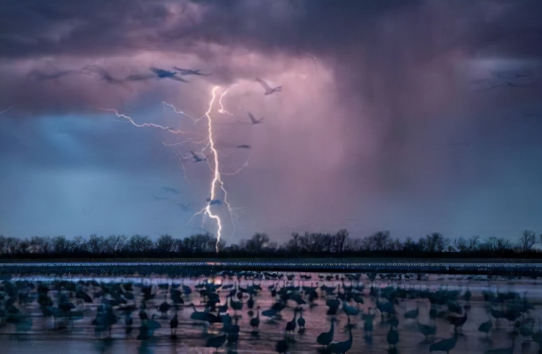大蛇事件(1995年,安徽曾有巨蟒渡劫,却被雷电击中飞升失败,是真是假?