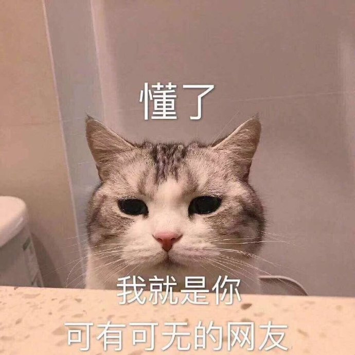 猫咪表情包合集｜我跟你讲，今天就必须带我吃火锅