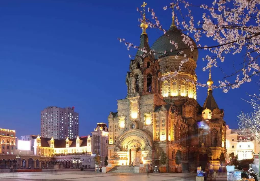 哈尔滨的211大学（哈尔滨两所）