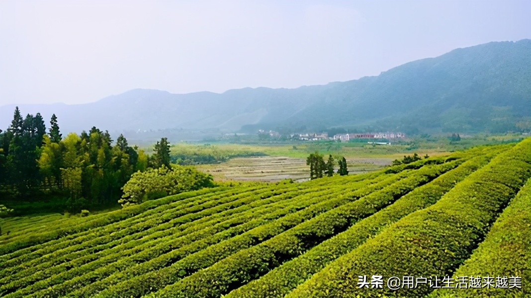 景德镇真是一个美丽的地方