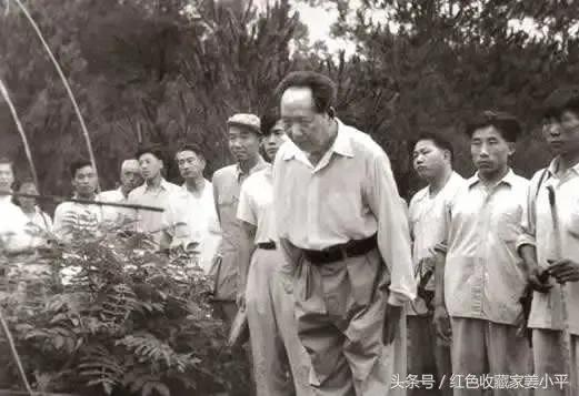 读毛泽东四言诗《祭母文》，我们歌颂母爱，怀念母爱，感恩母爱！